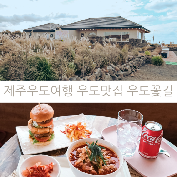  제주 우도 가볼만한곳 우도여행 우도맛집 우도꽃길