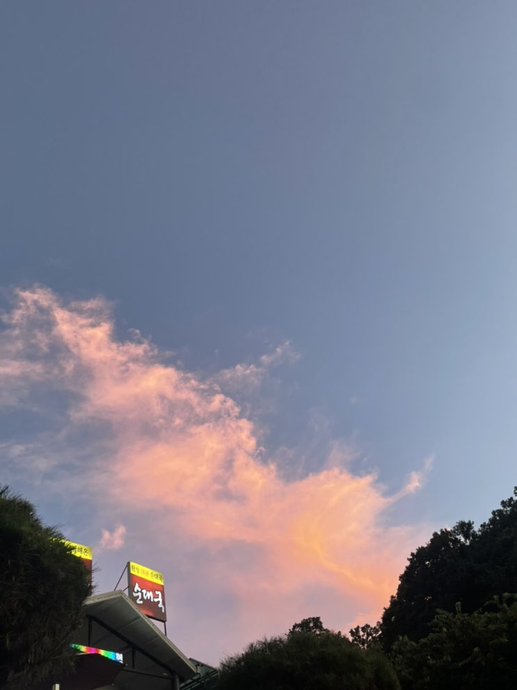  순대국 나와