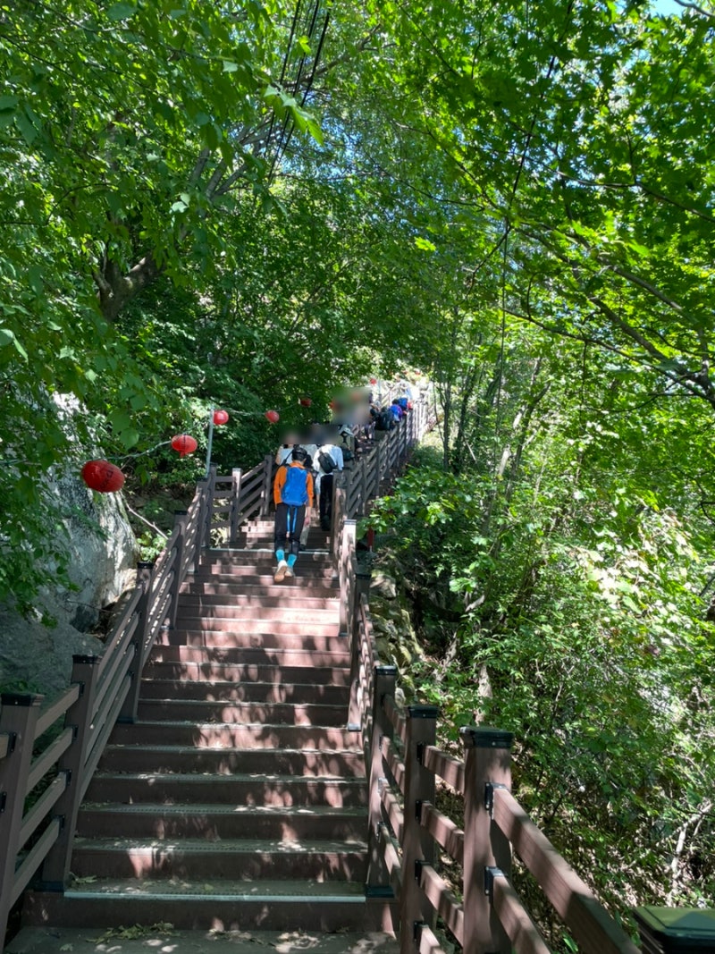 관악산 등산 코스 관악산역-연주대 -서울대입구 코스 시간 : 네이버 블로그