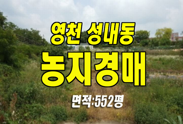 영천농지경매 경북 영천시 성내동 농지