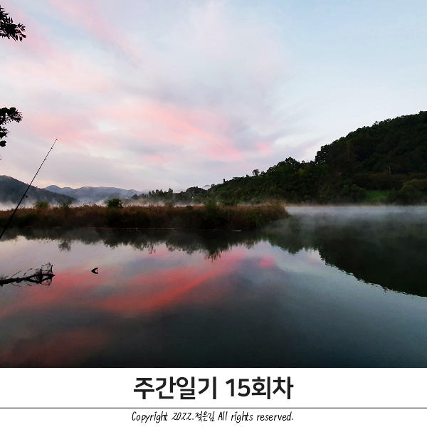 주간일기 15회차 : 알차게 보낸 토요일 주간일기 15회차 : 알차게 보낸 토요일