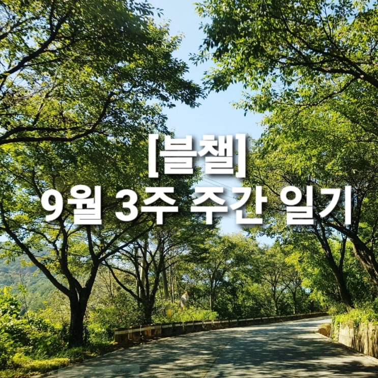  [블챌] 바쁘다 바빠 행사 주간 일기 챌린지