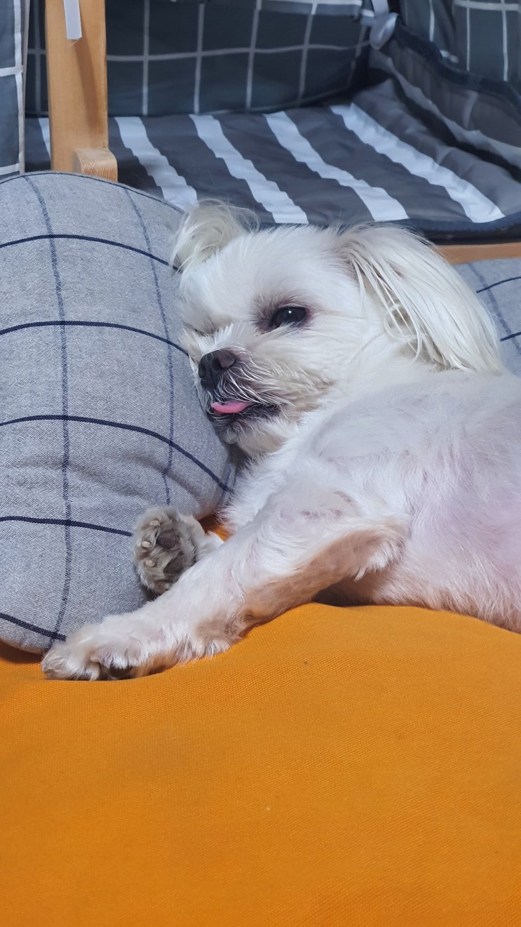  주간일기 #14
