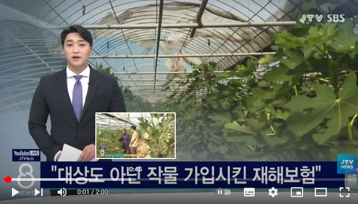 대상도 아닌 작물 가입시킨 재해보험 / JTV뉴스 대상도 아닌 작물 가입시킨 재해보험 / JTV뉴스
