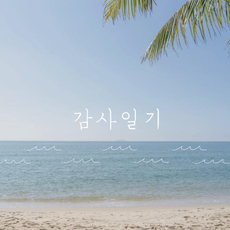  금토일 감사 일기