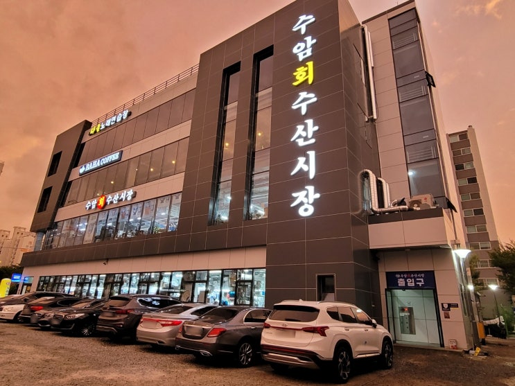  울산 횟집 추천, 남구에서 즐기는 회 센터 '수암 회 수산시장', 처음 먹어 본 잿방어는?!! <회는 어달리 수산, 초장은 수암 초장에서>