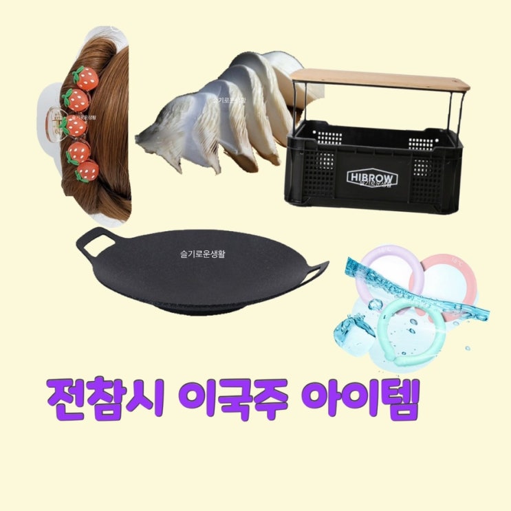 이국주 전지적참견시점218회 캠핑테이블 고기 불판 딸기 머리핀 집게 황제버섯 대형 대왕 햄 얼음튜브