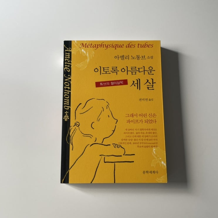  [이토록 아름다운 세 살 - 아멜리노통브] 아기 철학자의 세 살까지 이야기