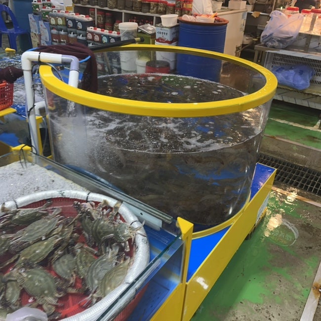 해송풍천장어 사진 4