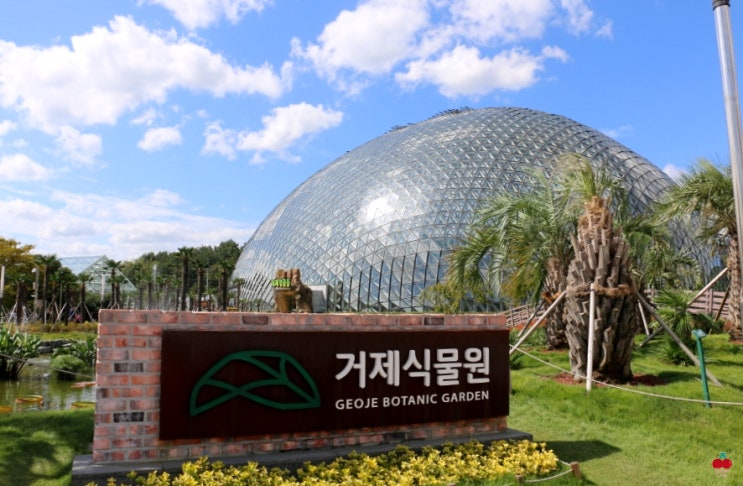  엄청난 규모의 거제식물원 정글돔 방문기!