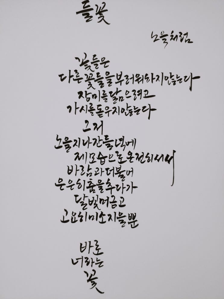 캘리와함께보는 시낭송)들꽃/노을처럼님 시
