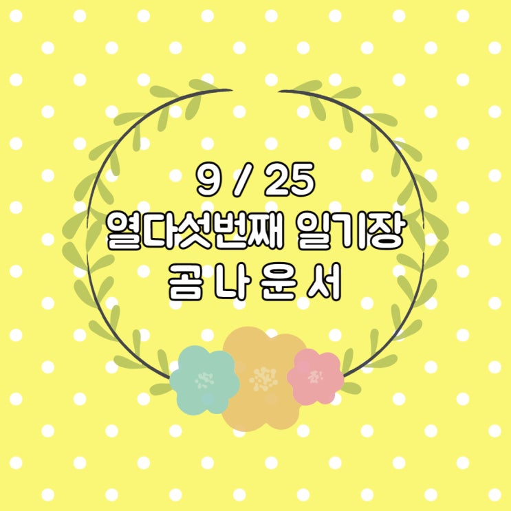  주간 먹부림 투썸 초코딸기, 초코베어, 배홍동 비빔면