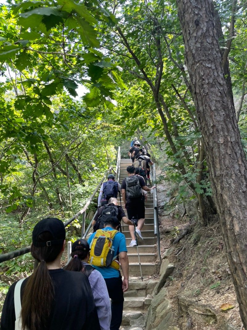 관악산 등산 코스 관악산역-연주대 -서울대입구 코스 시간 : 네이버 블로그
