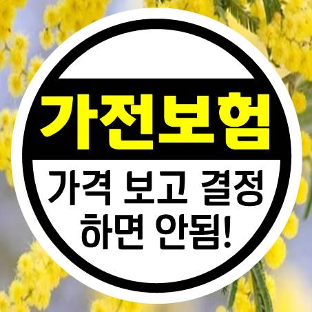  가전제품 보험 가격만 보고 결정해선 절대 안 되는 이유