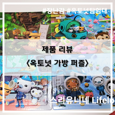  [제품 리뷰] 아이들 지능과 감성을 키우는 메가스터디북스_옥토넛 가방 퍼즐 4종~!