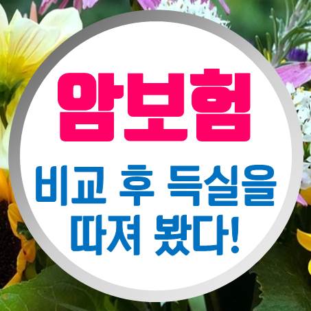  65세암보험 비교 후 어디로 선택할지 고민해 봤다.
