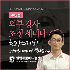 수영점 / 2022년 6월 외부 강사 초청 세미나 현장스케치 / 경상대학교 수의과대학 황태성 교수 (센텀동물메디컬센터)