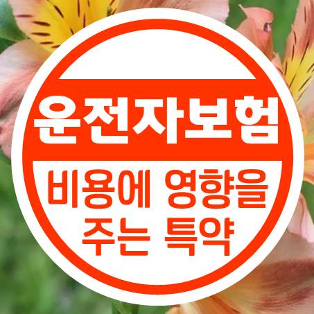  운전자보험 비용 상승에 영향을 주는 특약을 알아보았다.