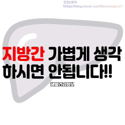  지방간 원인 관리 증상과 치료까지