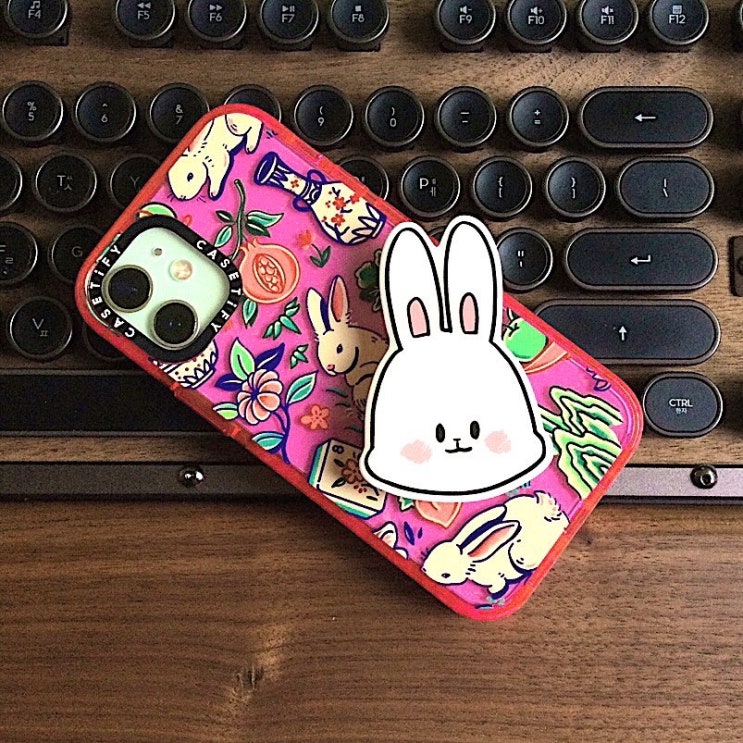  토끼 케이스