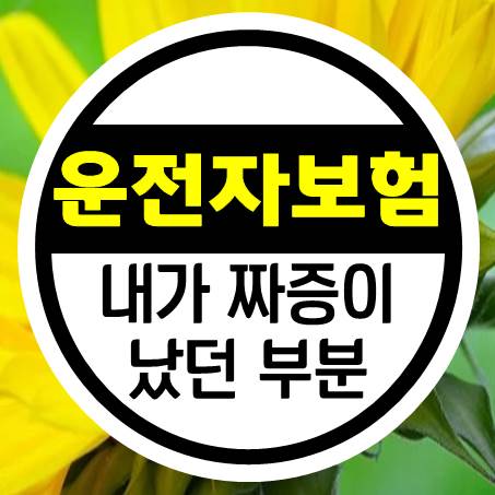  운전자보험 금액 보면서 내가 짜증이 났던 건 바로 이것 때문이었다.