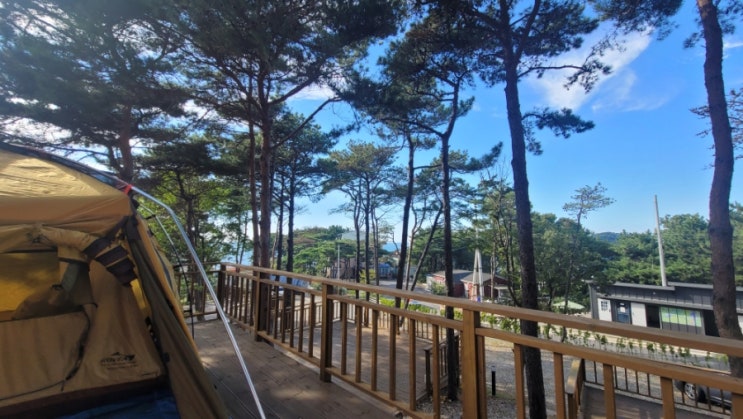  영흥도 하늘빛 캠핑장(깨끗한 캠핑장/서울근교캠핑장️)