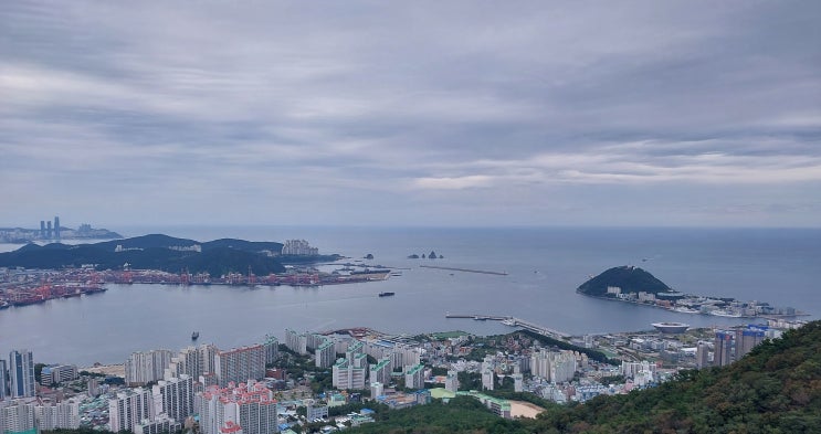  영도 봉래산 산행, 부산항 전경('22.09.25)
