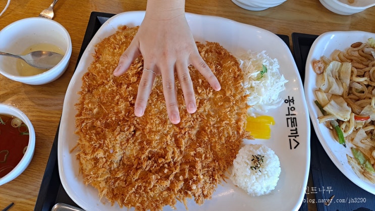  홍익돈까스 경산점 푸짐한 왕돈까스 불맛나는 해물볶음우동