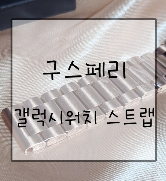 구스페리 :: 고급스러운 메탈 갤럭시 워치4 스트랩 !