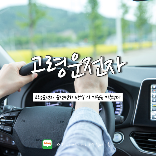  평택시 고령운전자 운전면허 자진반납 지원금 지급 정리