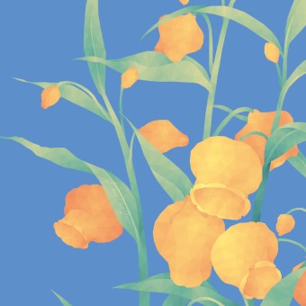  나하나 꽃피어(One flower blooms)