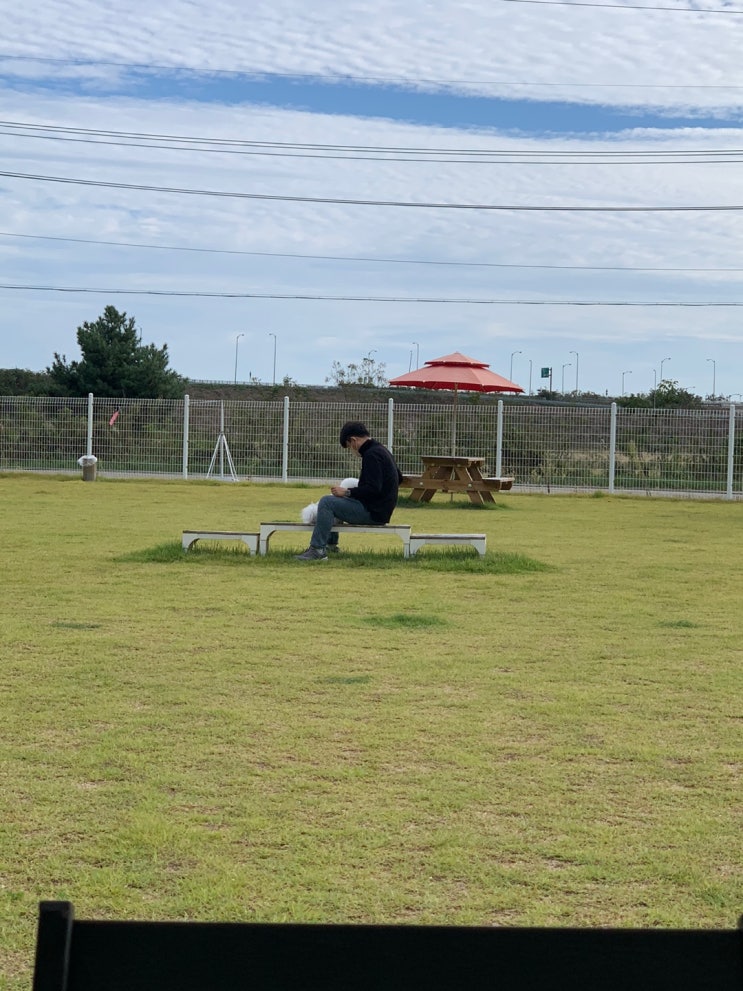 2022 09 24 댕댕이 일기 2022 09 24 댕댕이 일기