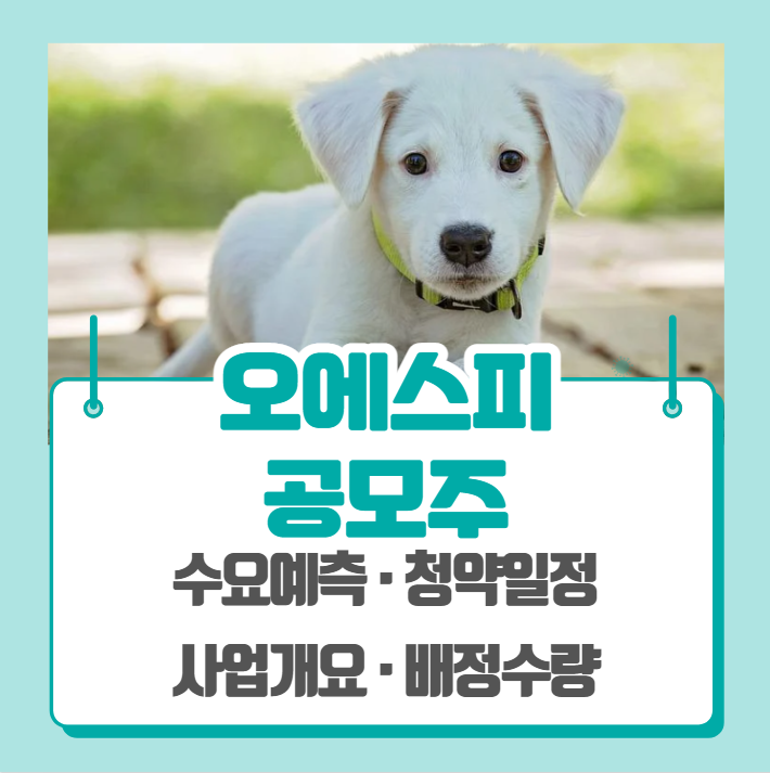  오에스피 수요예측 공모주 청약일정 (기관경쟁률, 비례경쟁률)