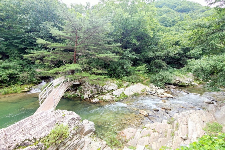  가평애견펜션/ 포시즌밸리 커플&가족 애견펜션