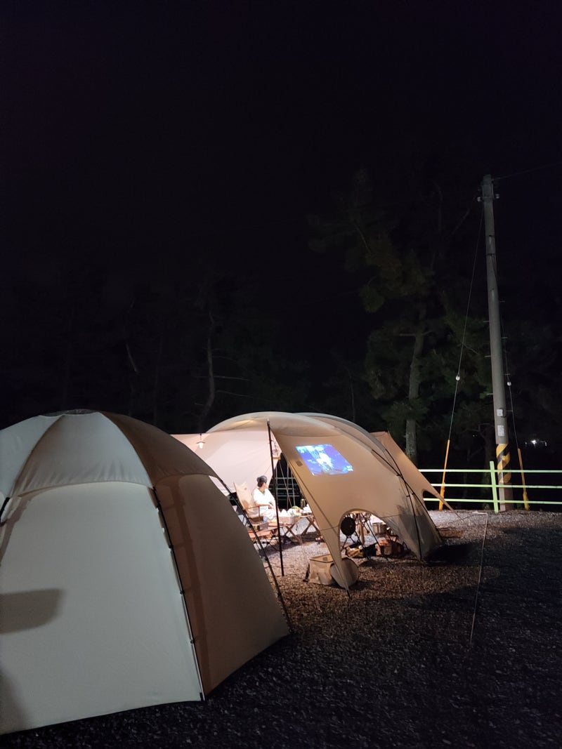 캠핑칸 쉘타프 장단점 정리 : 네이버 블로그