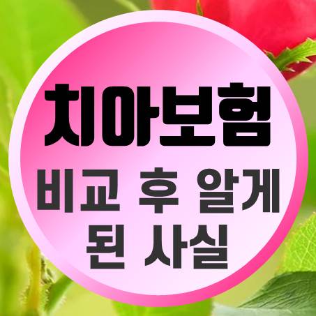  비갱신치아보험 비교 해보면 알게 되는 사실