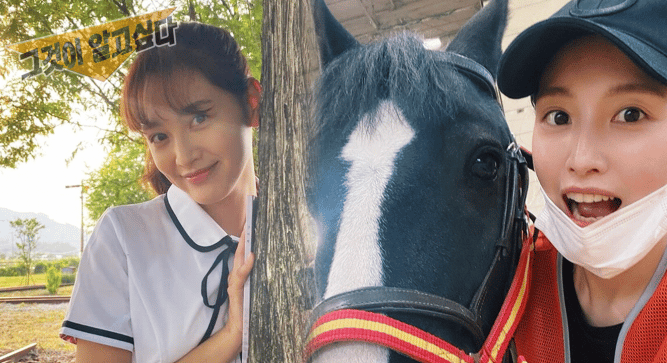  선생님이 촌지 요구해요" '그알'에서 학교 고발했던 전교회장의 충격적인 근황