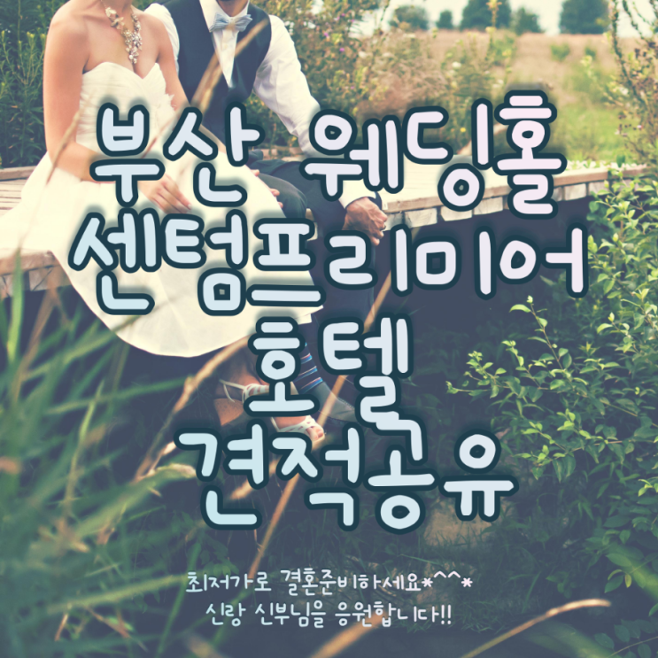  부산 센텀프리미어호텔 웨딩홀 단독홀 견적공유