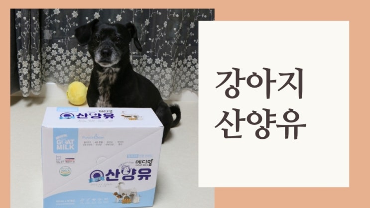 강아지 산양유 효능