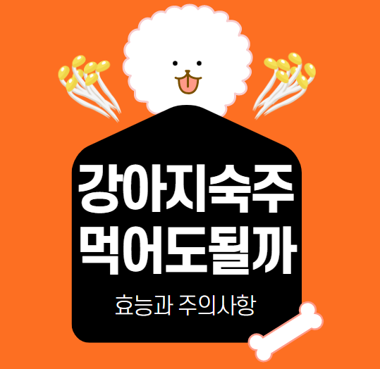  강아지 숙주 나물 모르고 주면 큰일나요(효능과 주의사항)