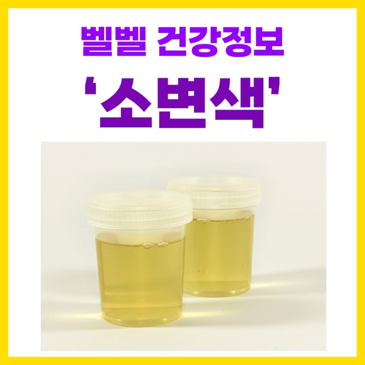  소변색 건강상태 확인 노란 이유 당뇨소변색 단백뇨