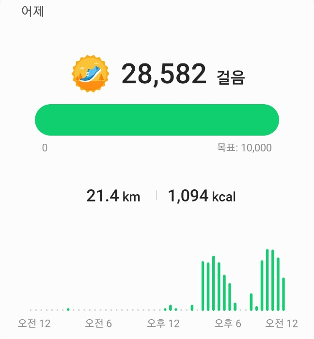  2만보 인증