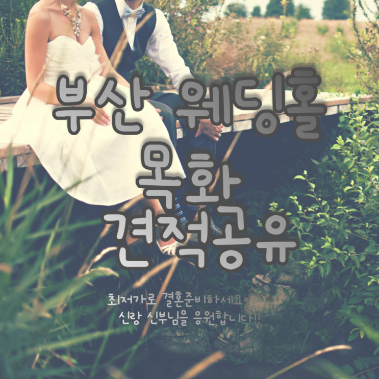  부산 W웨딩 목화웨딩컨벤션 견적공유