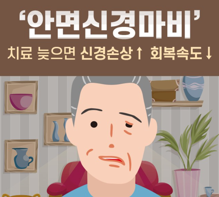  안면신경(Facial nerve) 질환 (1) - 안면신경(Facial nerve) : 신경의 주행, 신경마비의 분류, 신경마비의 평가 방법