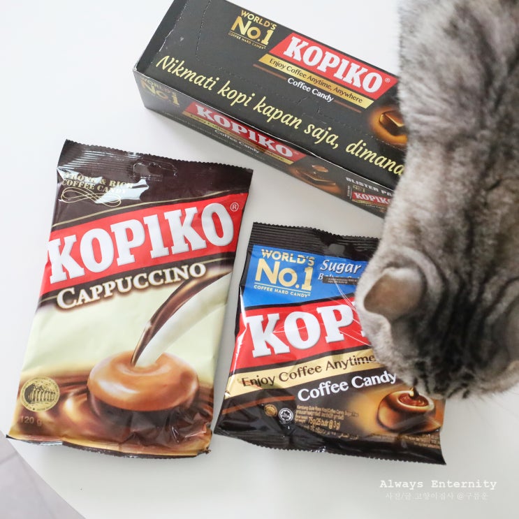  코피코 사탕, 궁금한데 무슨 맛? (카푸치노 슈가프리 블리스터팩)