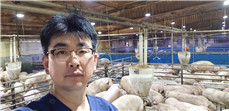  사료 가격이 폭등 등 외뷰요인 대처가 중요해진 요즘 양돈 현장전문가에게 그 답을 묻다. "스마트 피그 클리닉 동물병원, 이경원 원장"( 스마트팜 컨설팅 PICC 대표)