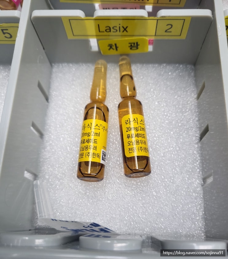  라식스 lasix, furosemide약의 사용법과 용량, 부작용은?