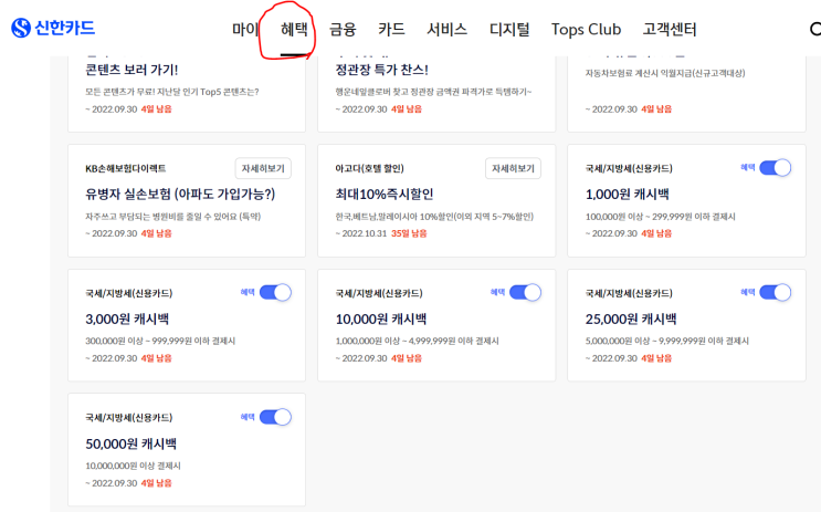  신한카드 9월 국세/지방세 납부 최대 5만원 캐시백 이벤트