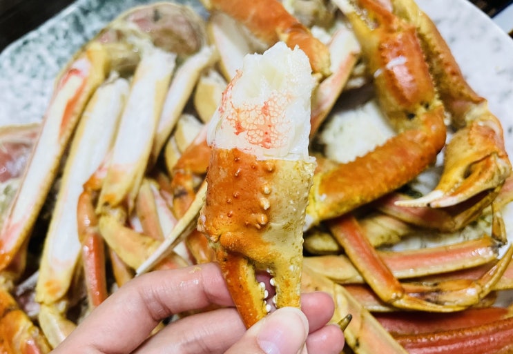  제주도 맛집 제주도 대게 랍스터 맛집 제주ㅣ연동대게회타운ㅣ