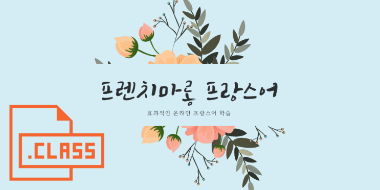  프랑스어를 편하고 효과적으로 배워보세요~